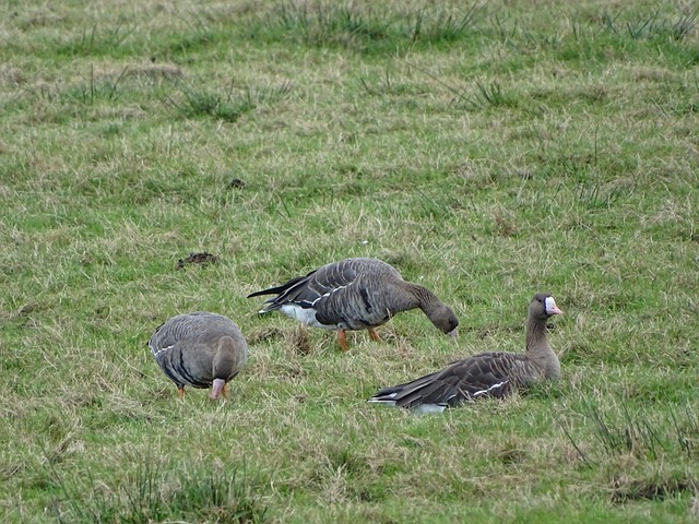 桔子精选酒店(北京总部基地店)